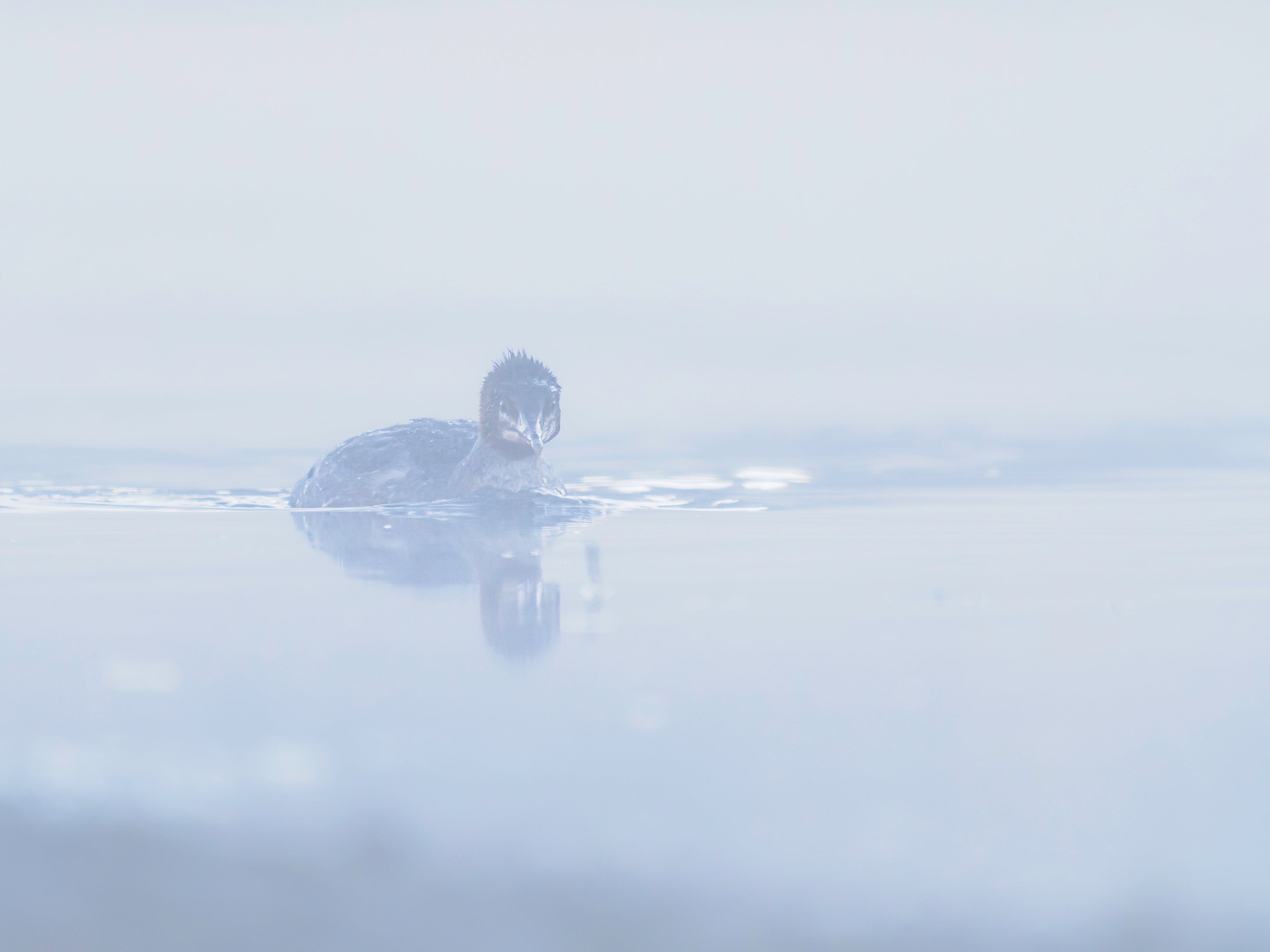 Think Tank Airport Roller Derby V20 & Think Tank