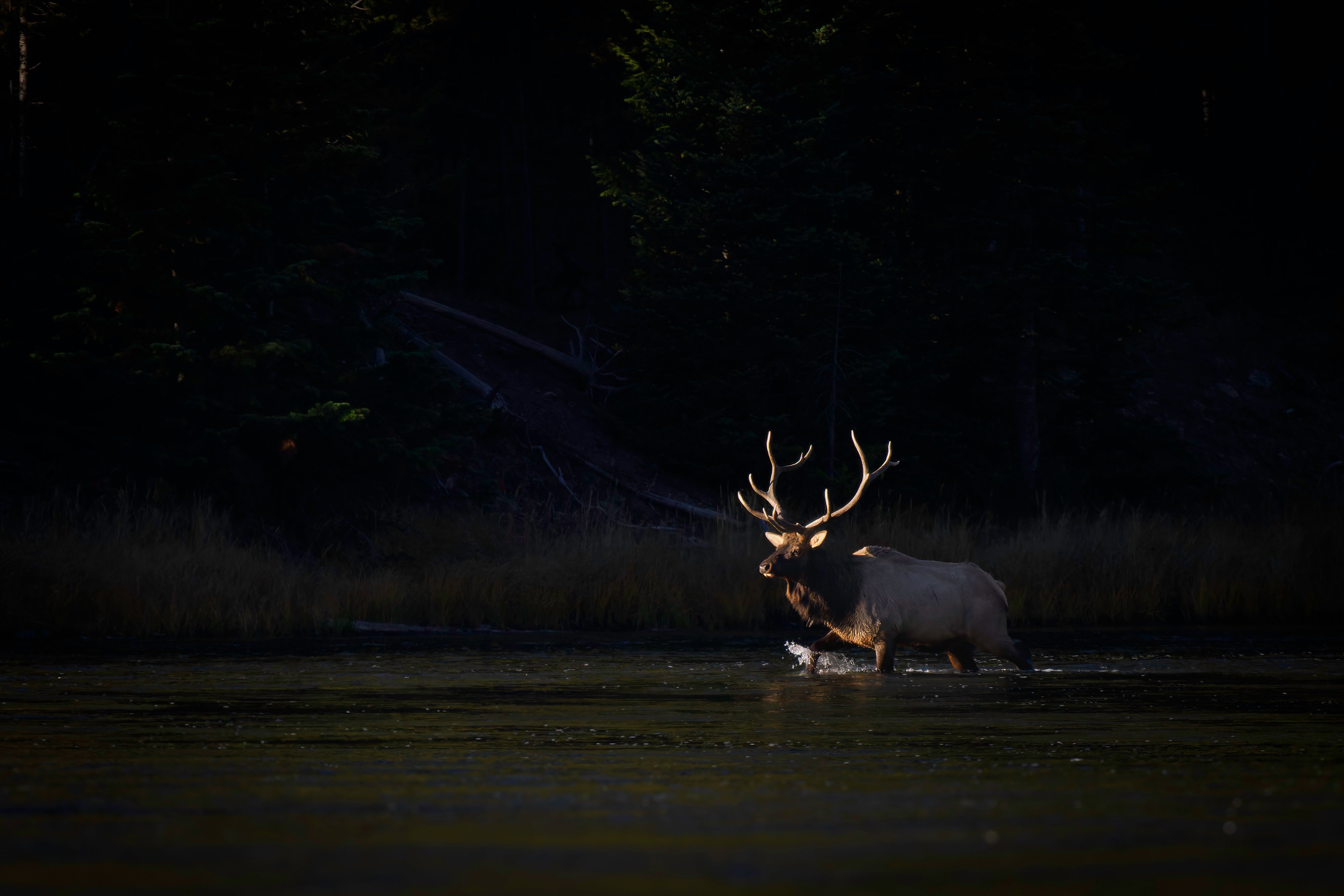 OM System Mentorship - Part 3 - Session #4