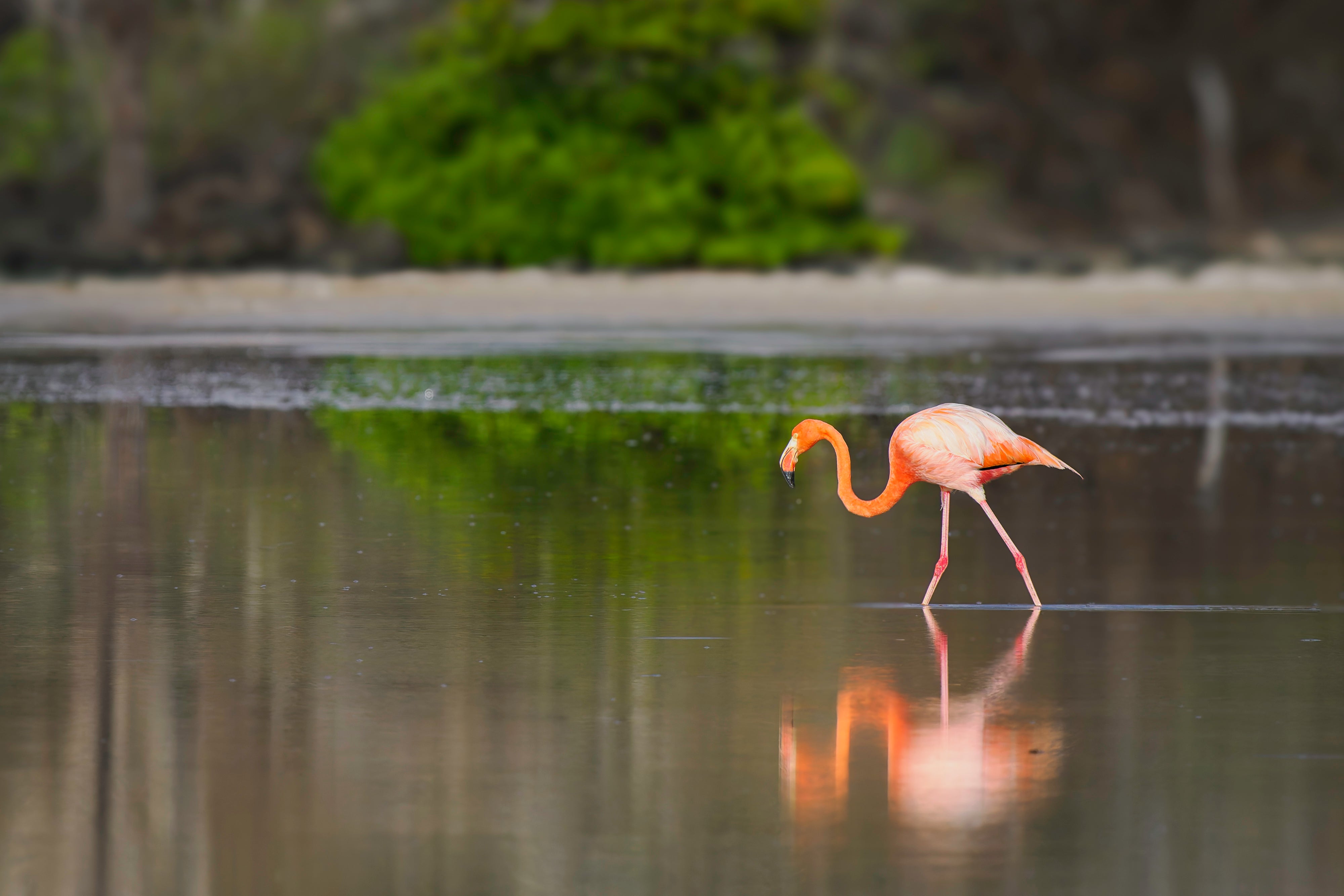 OM System Mentorship - Part 3 - Session #5