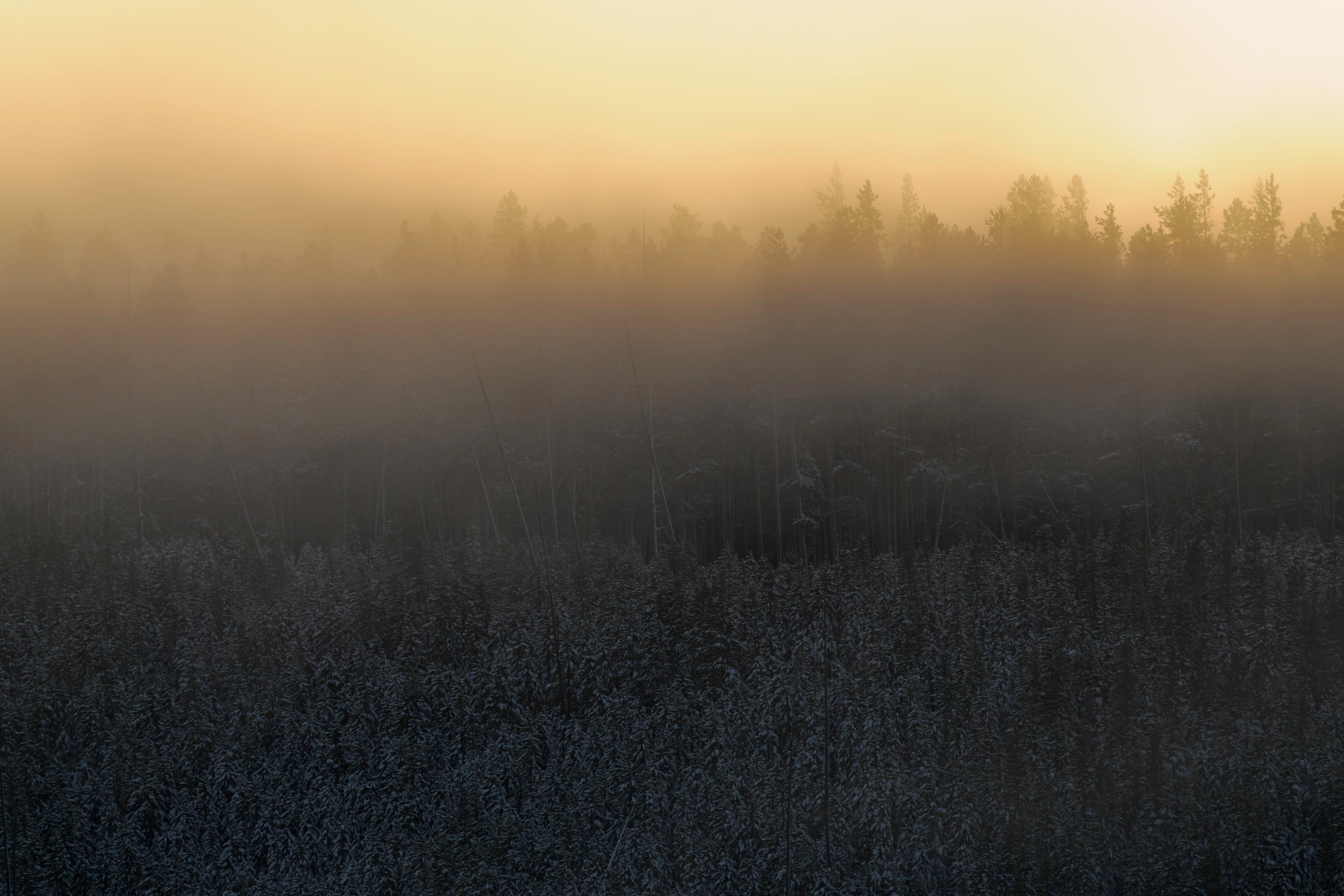 Promaster Rugged SDXC Cine Memory Cards