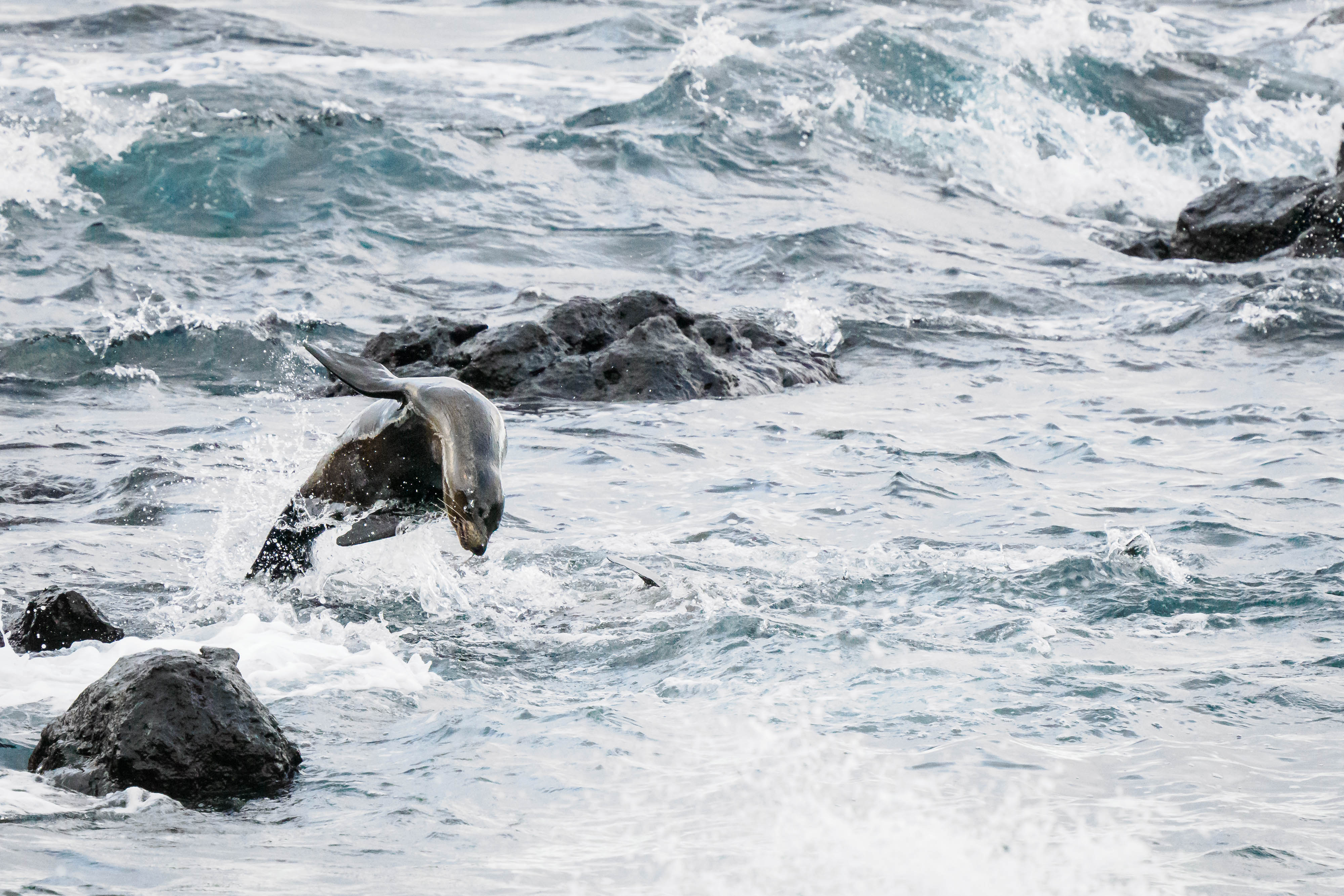 OM System Mentorship - Part 3 - Session #1