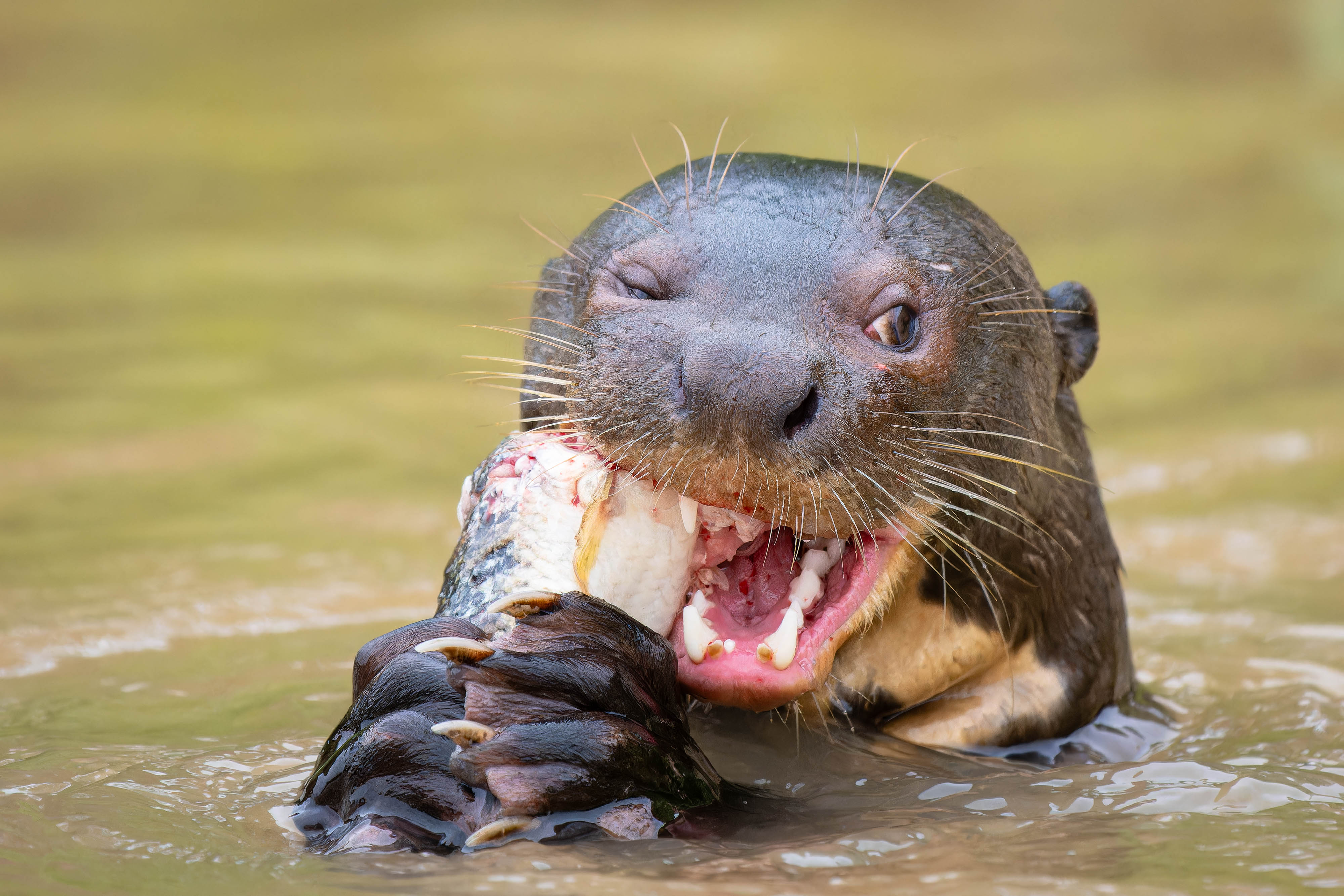 OM System Mentorship - Part 3 - Session #10