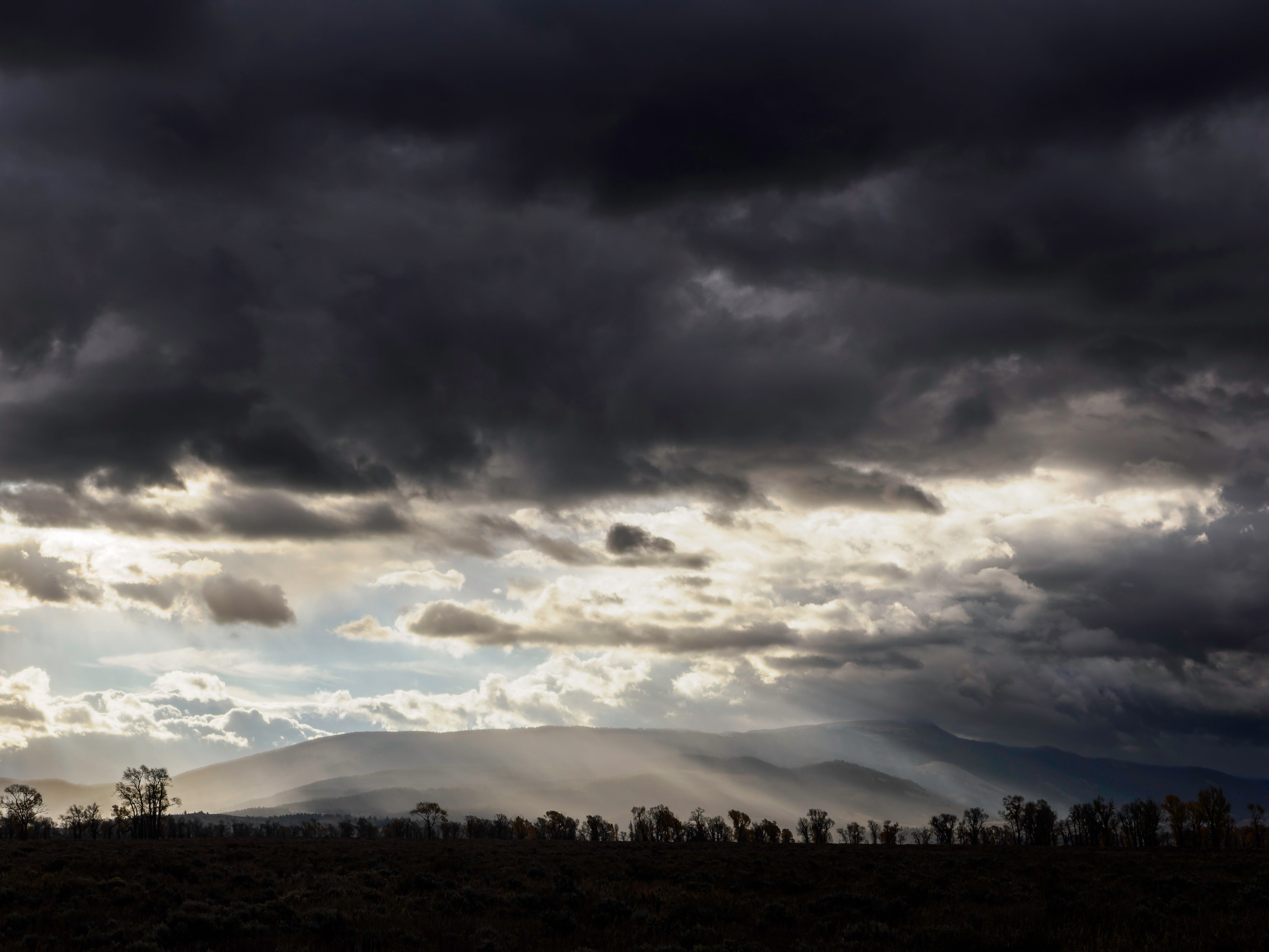 OM System Mentorship - Part 3 - Session #13