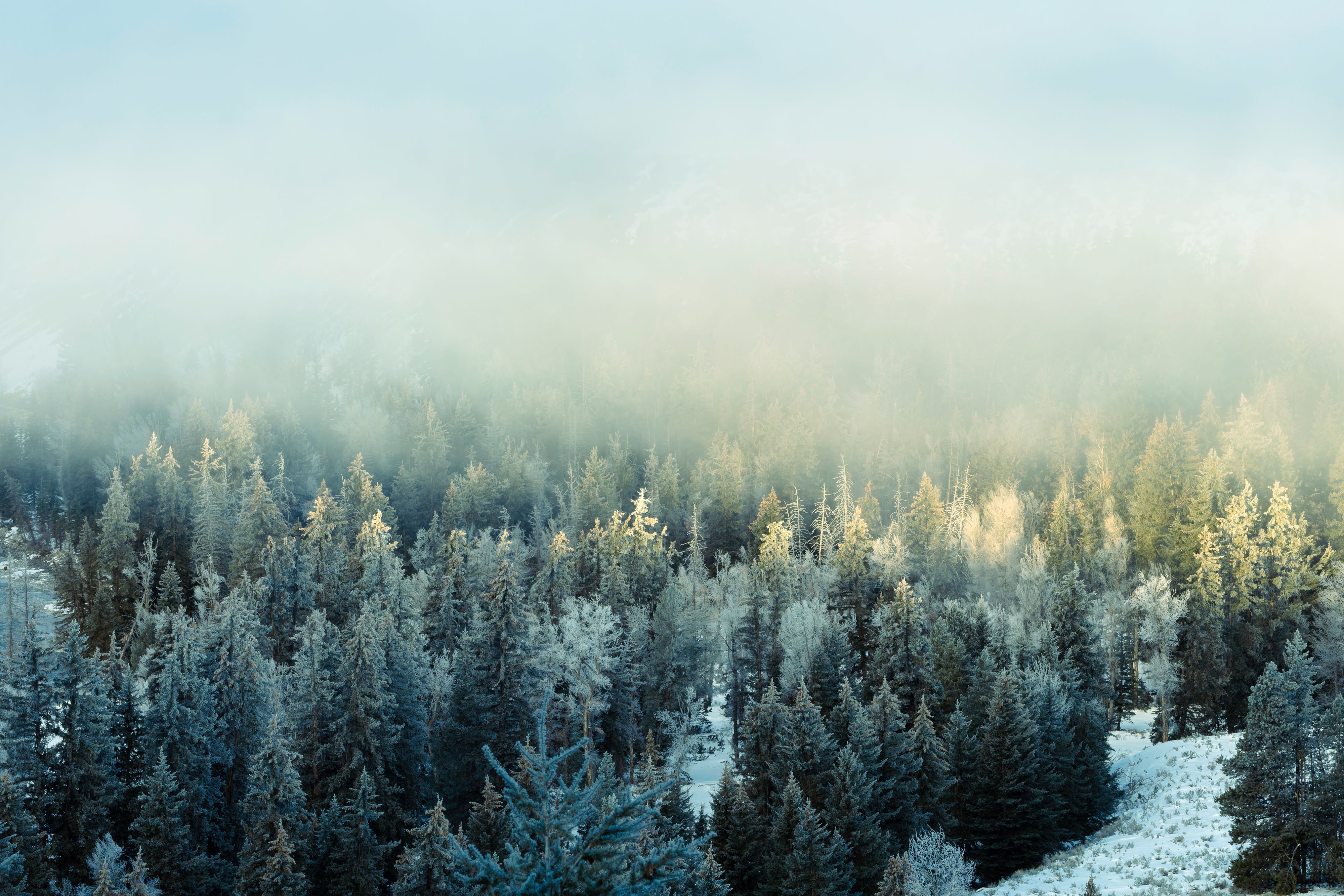 OM System Mentorship - Part 3 - Bonus Session #3