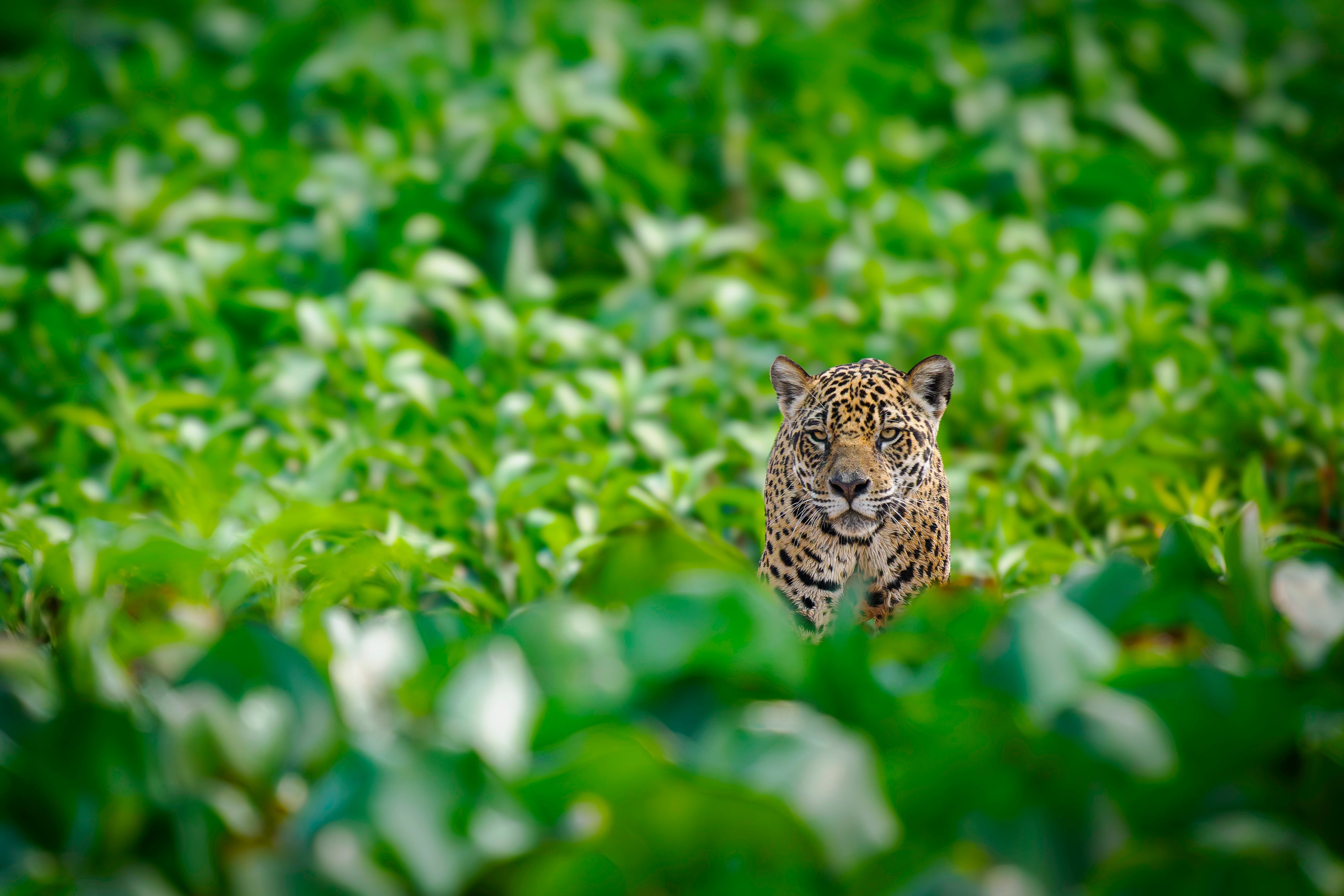 OM System Mentorship - Part 3 - Session #2