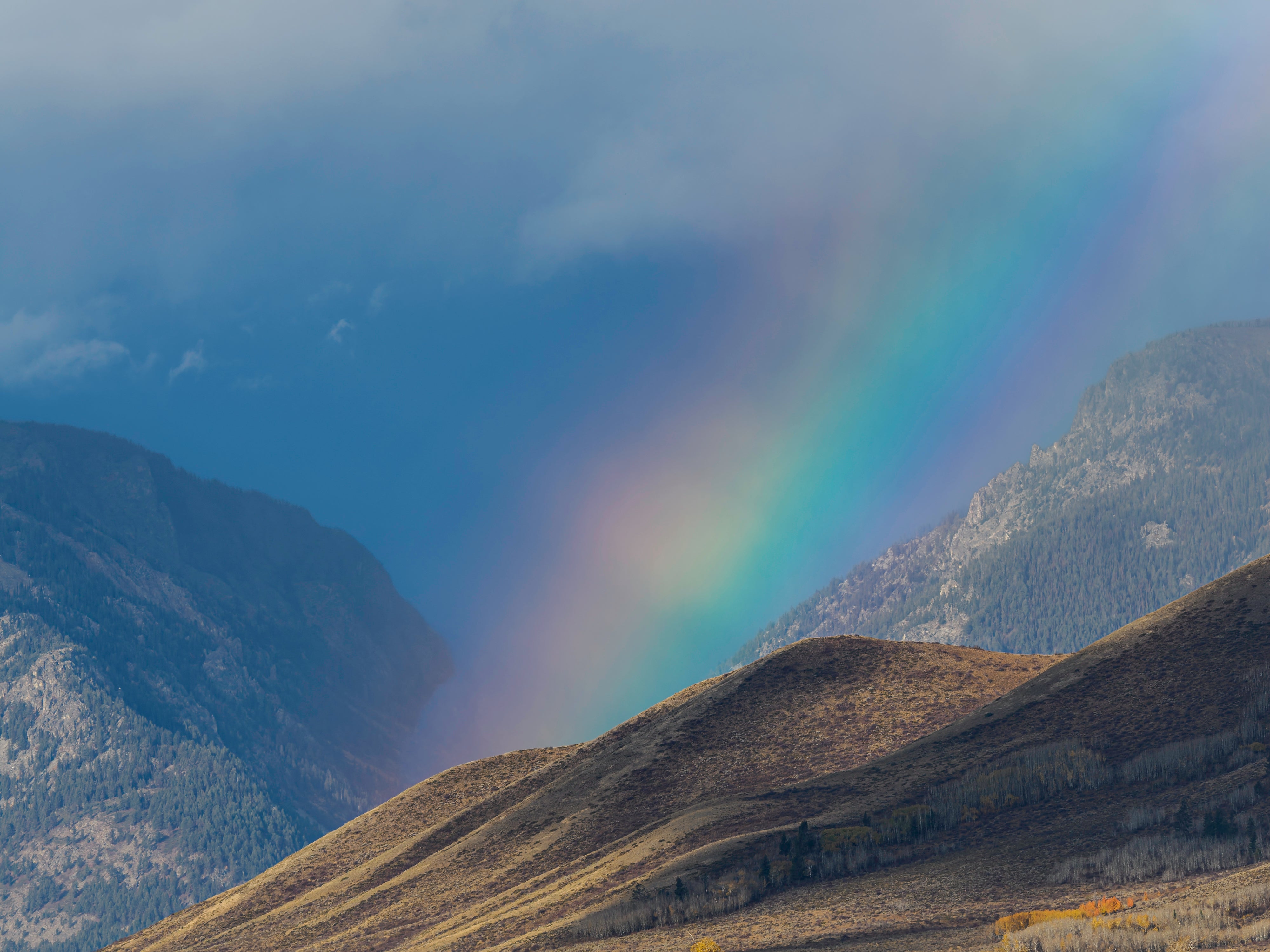 OM System Mentorship - Part 3 - Session #16