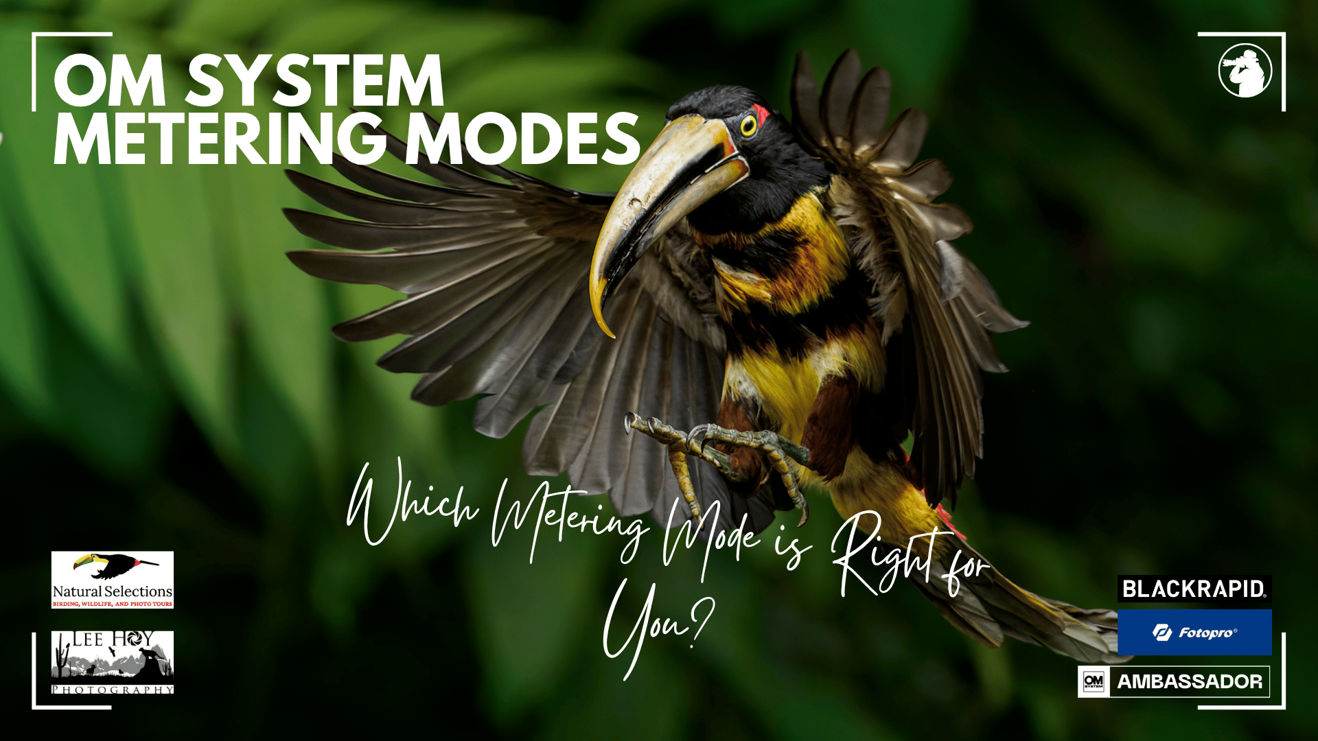 OM System Metering Modes