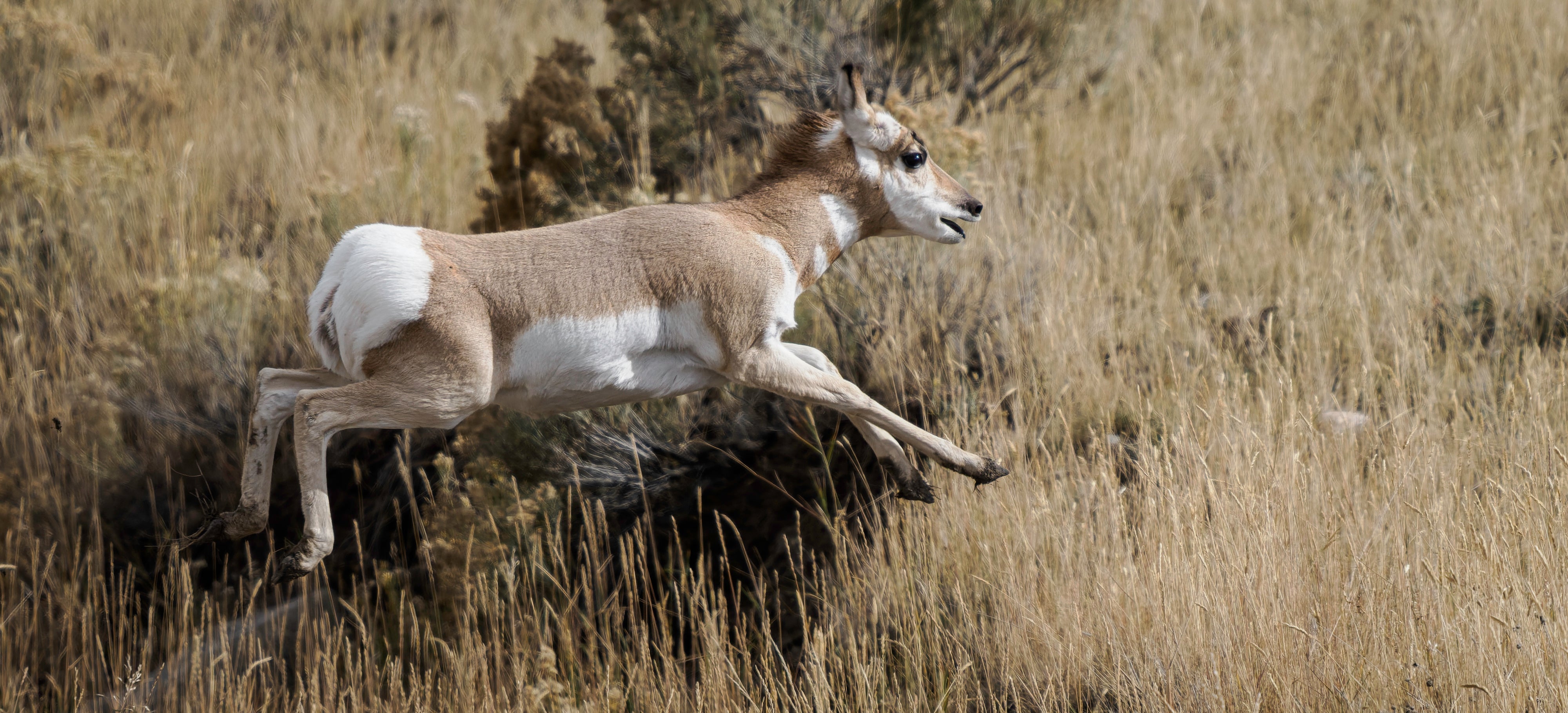 OM System Mentorship - Part 3 - Session #15