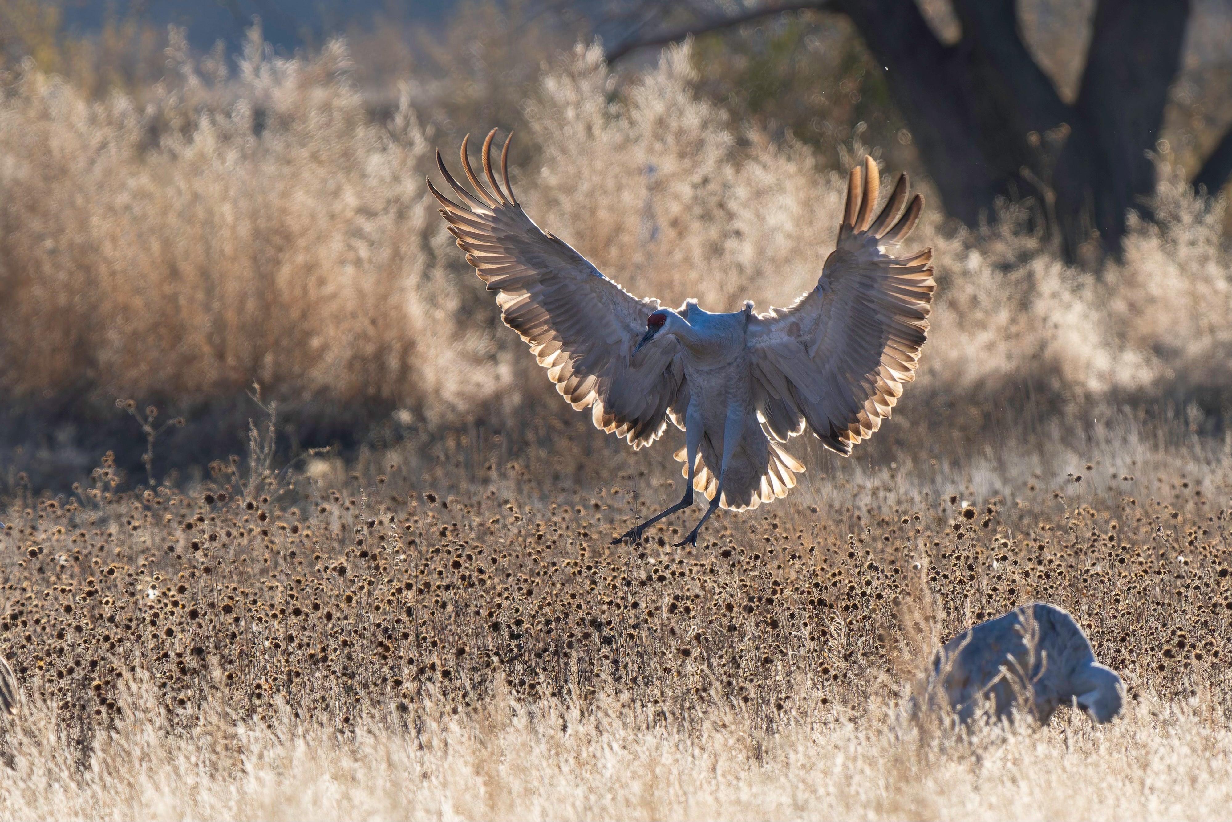 OM System Mentorship - Part 3 - Session #8