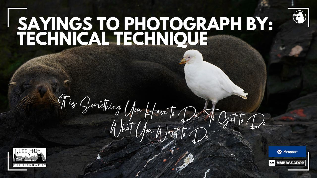 Sayings to Photography By: Technical Technique