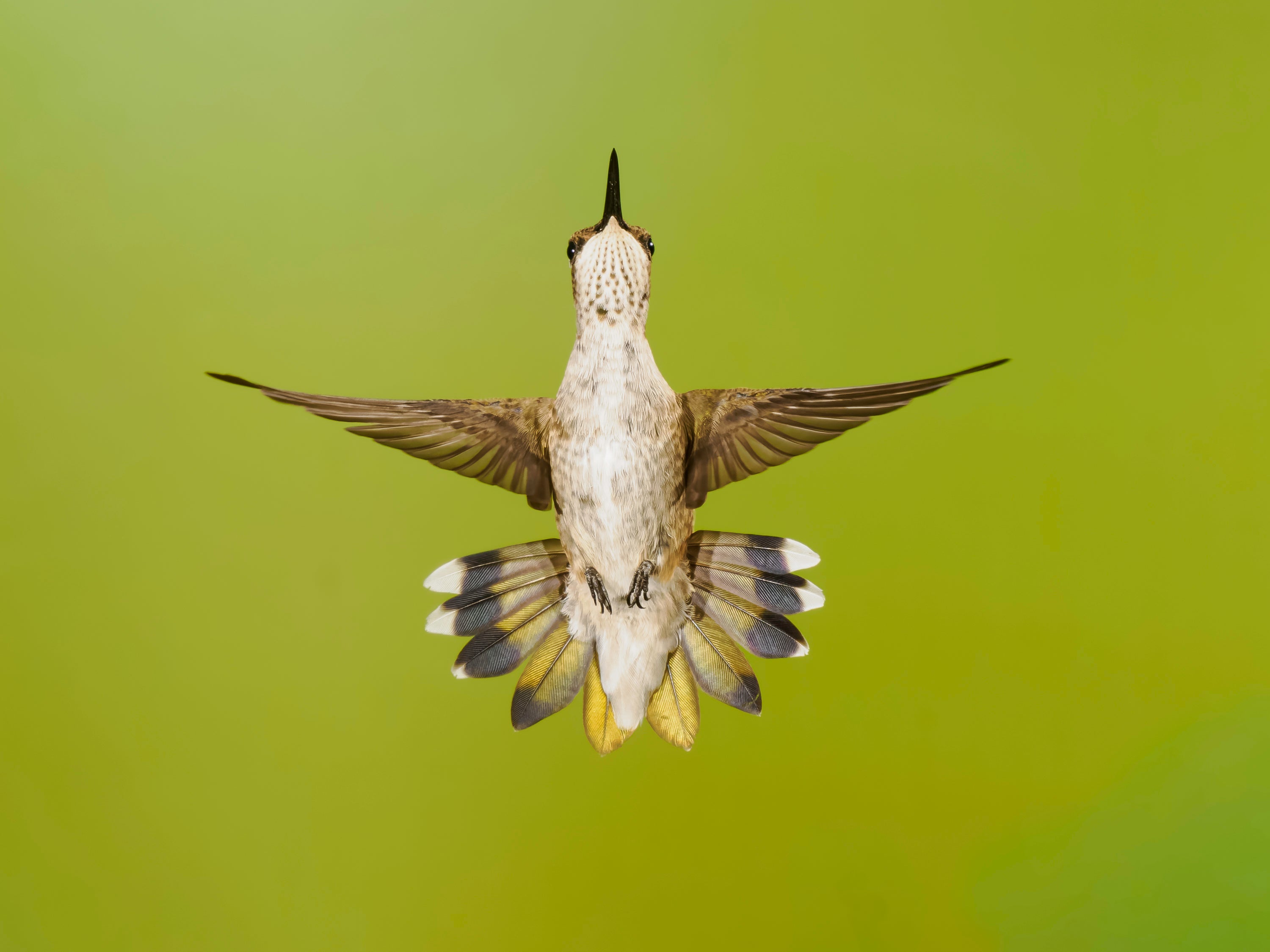 OM System Mentorship - Part 3 - Bonus Session #2