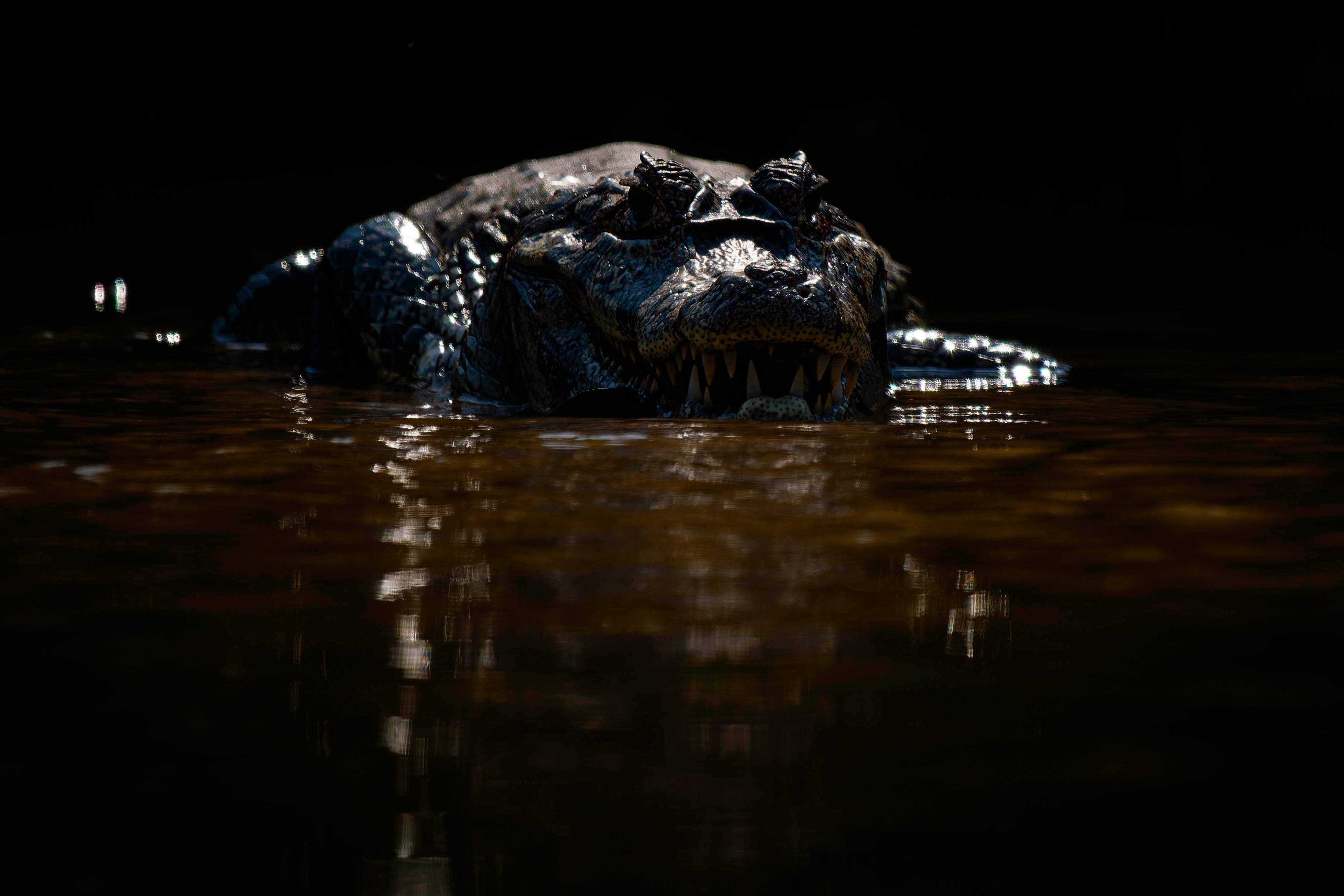 OM System Mentorship - Part 3 - Session #9