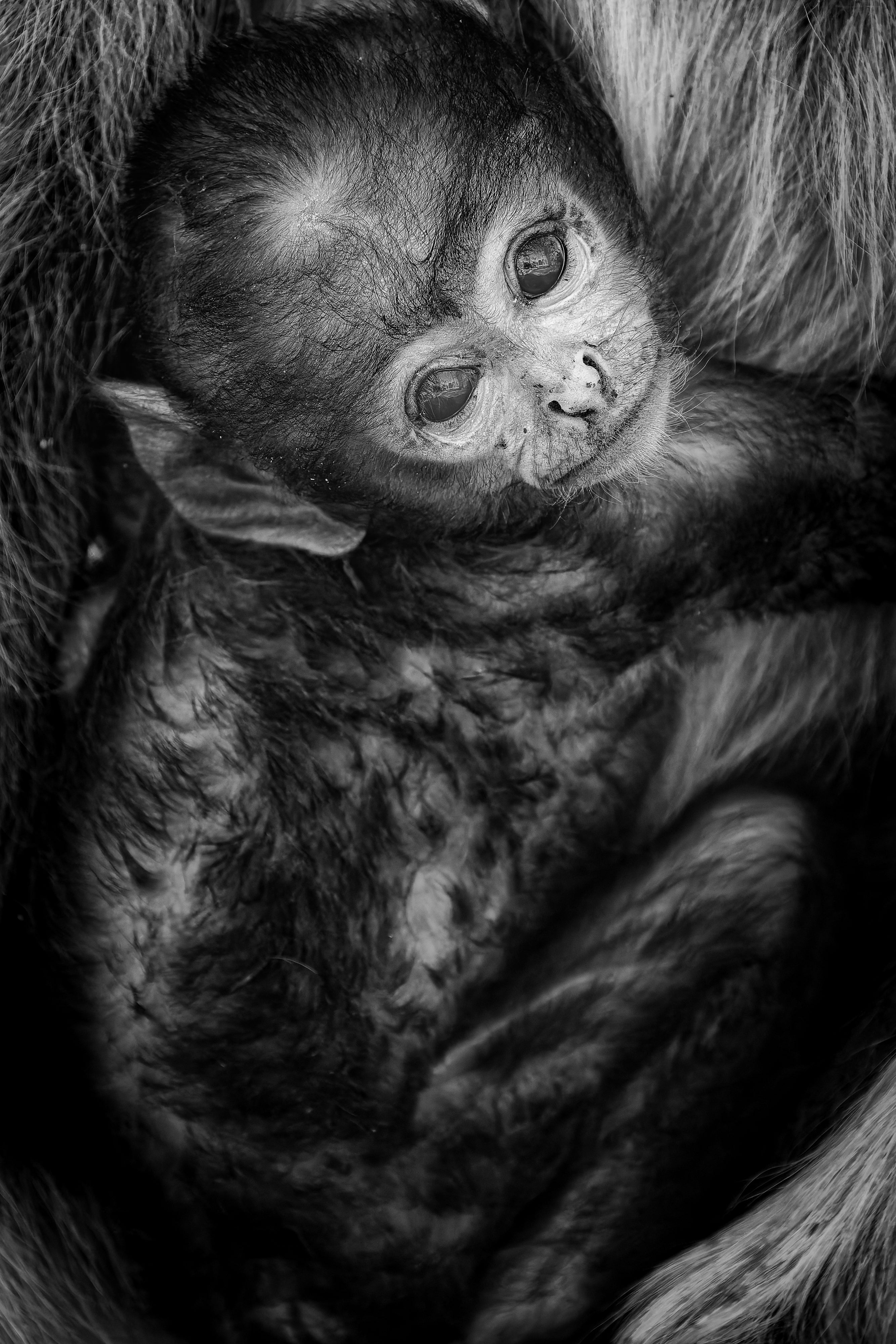 2027 Grand India Adventure - OM System Only: Master Fieldcraft Workshop