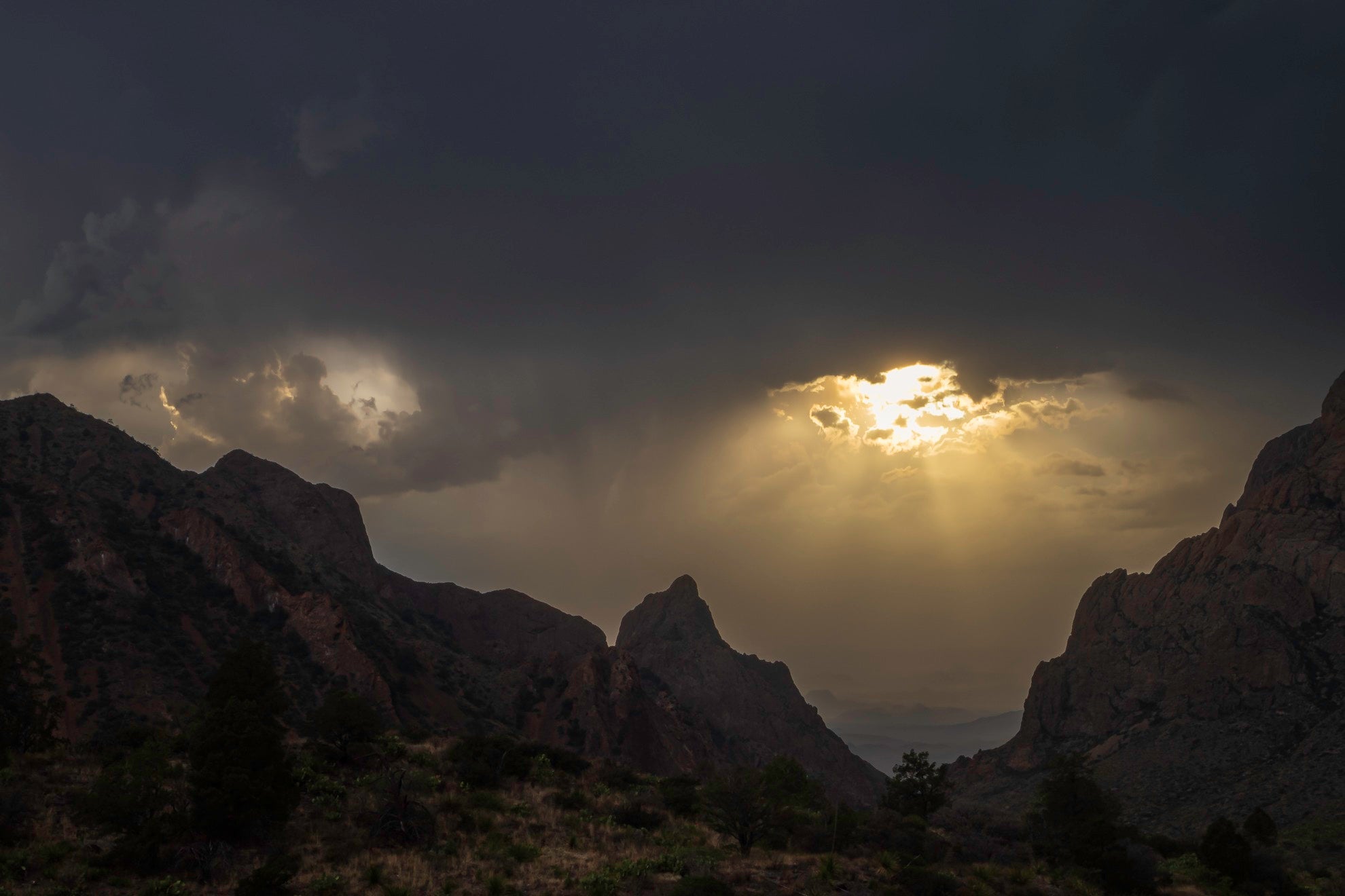 Big Bend National Park Winter Landscapes & Wildlife