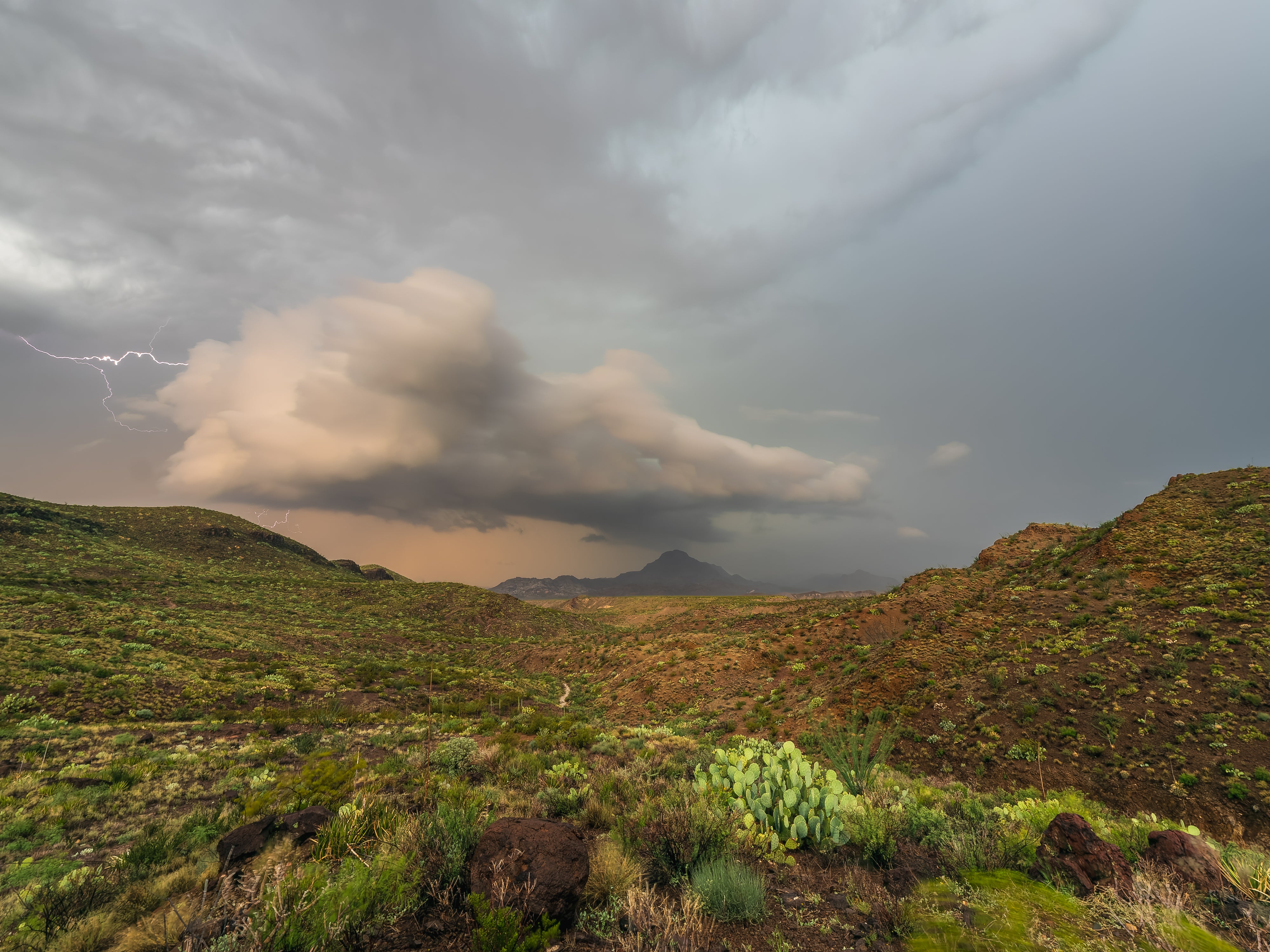 Summers Storms of West Texas