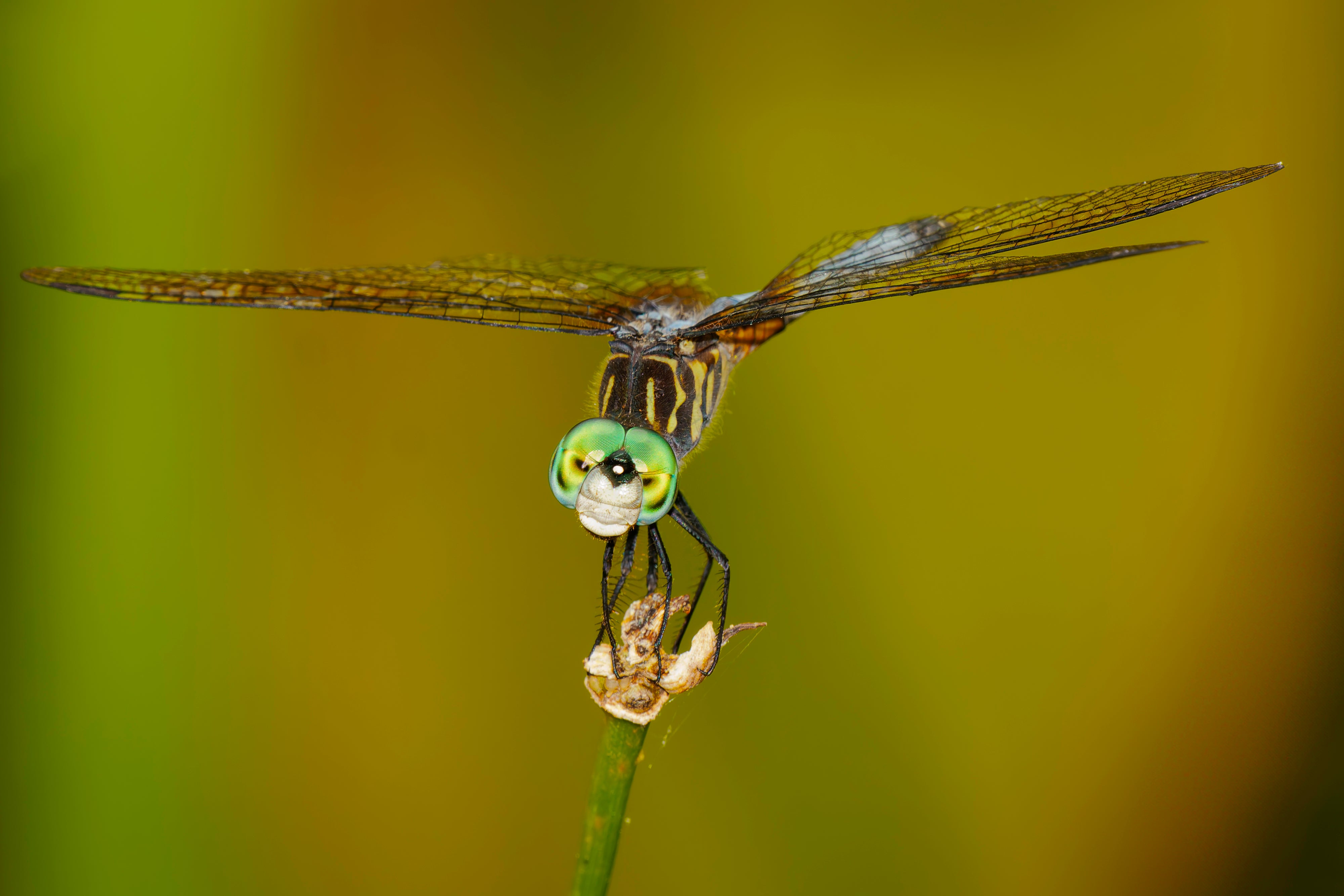 Private On-Site Classes - 6 Hours