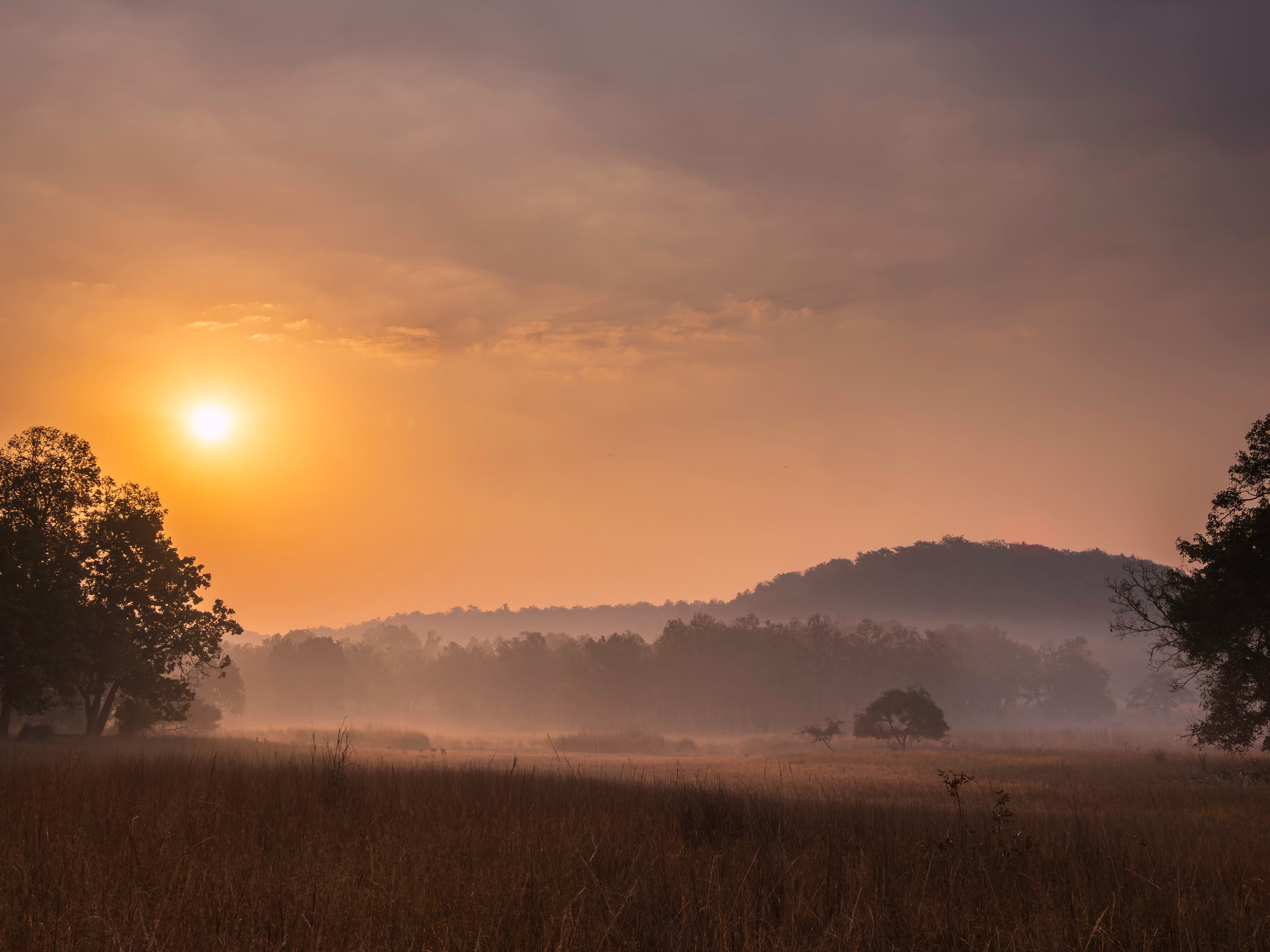 2027 Grand India Adventure - OM System Only: Master Fieldcraft Workshop