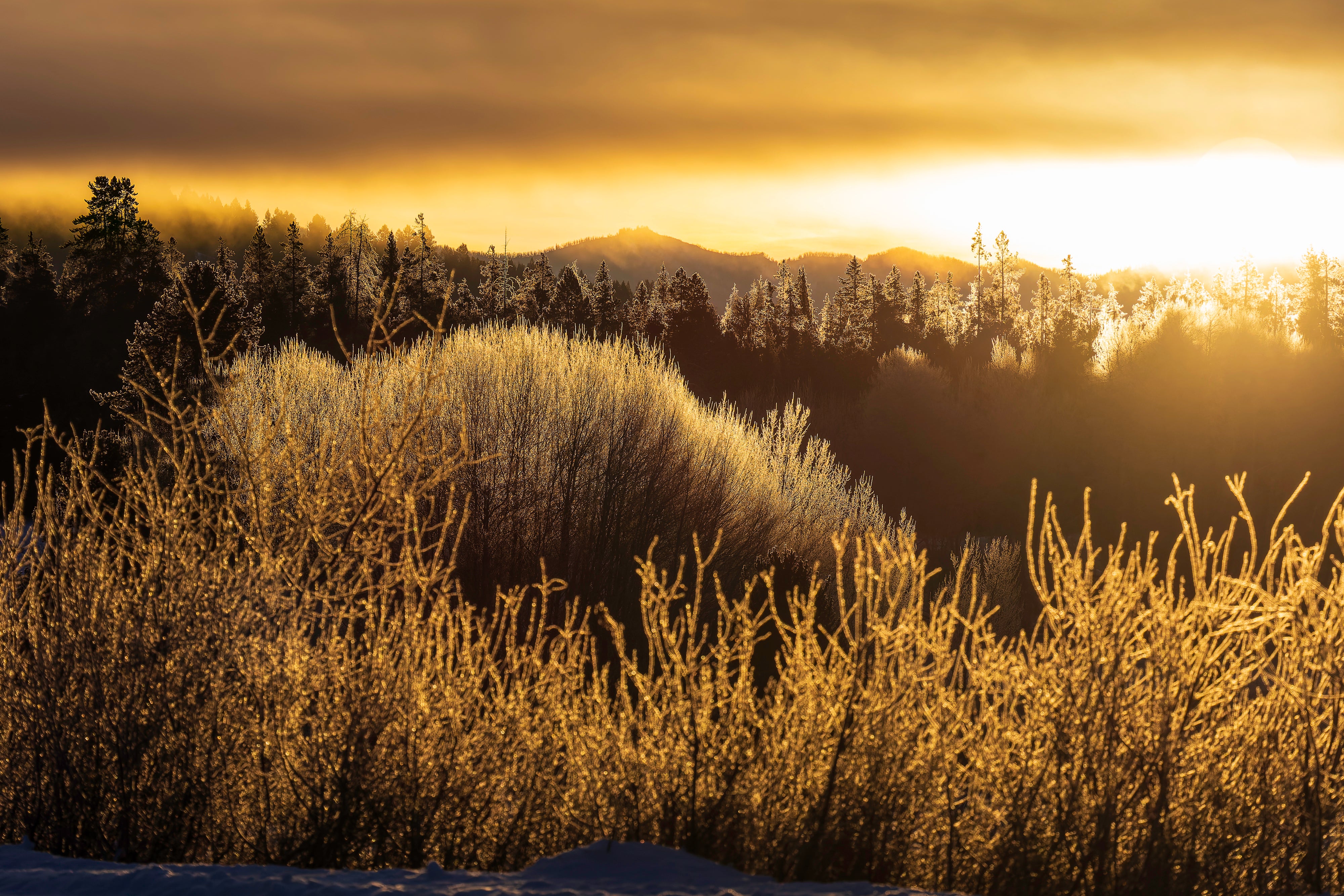 2027 Grand Teton in Winter: Mastering Winter Landscapes