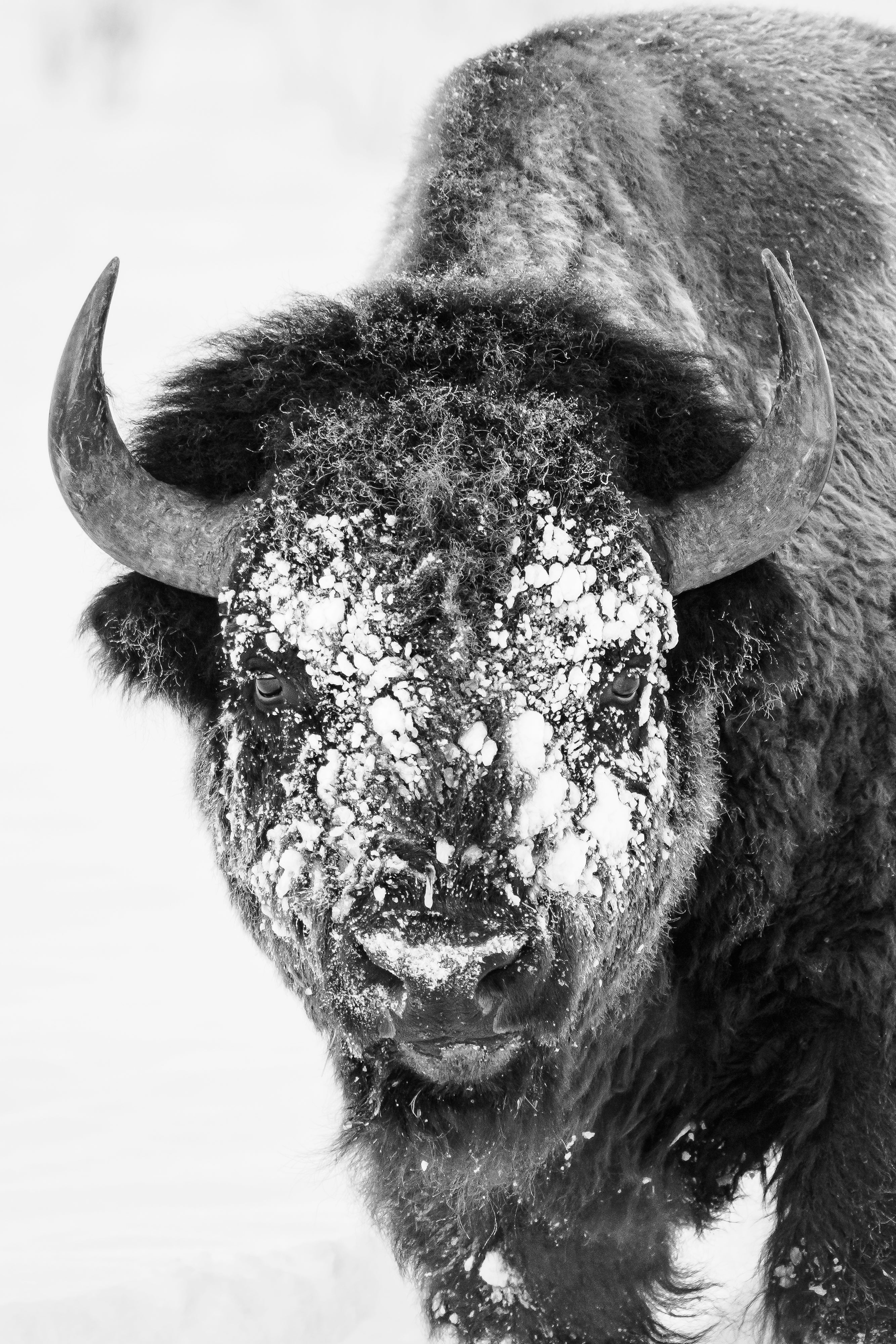 2027 Grand Teton in Winter: Mastering Winter Landscapes