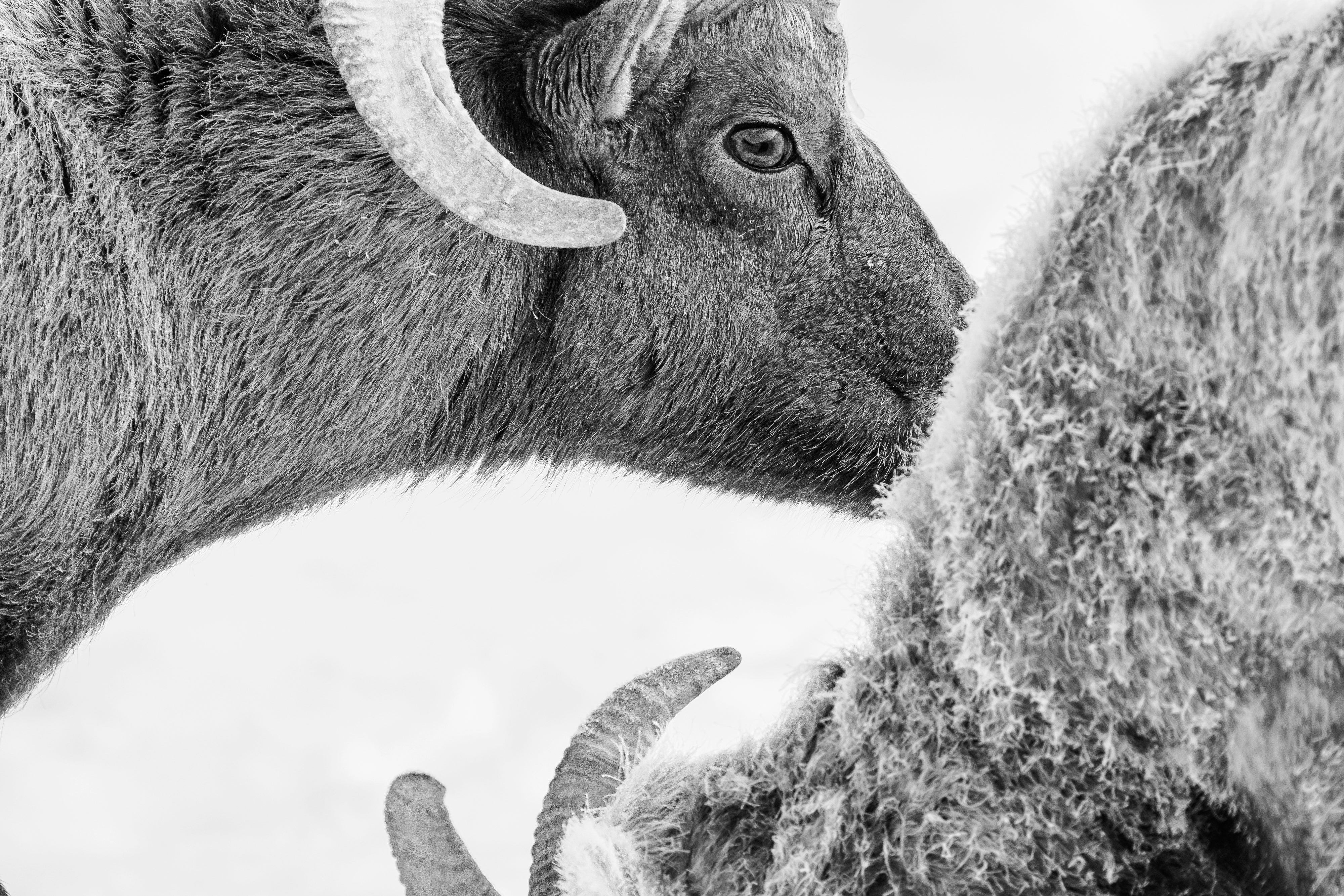 2027 Grand Teton in Winter: Mastering Winter Landscapes