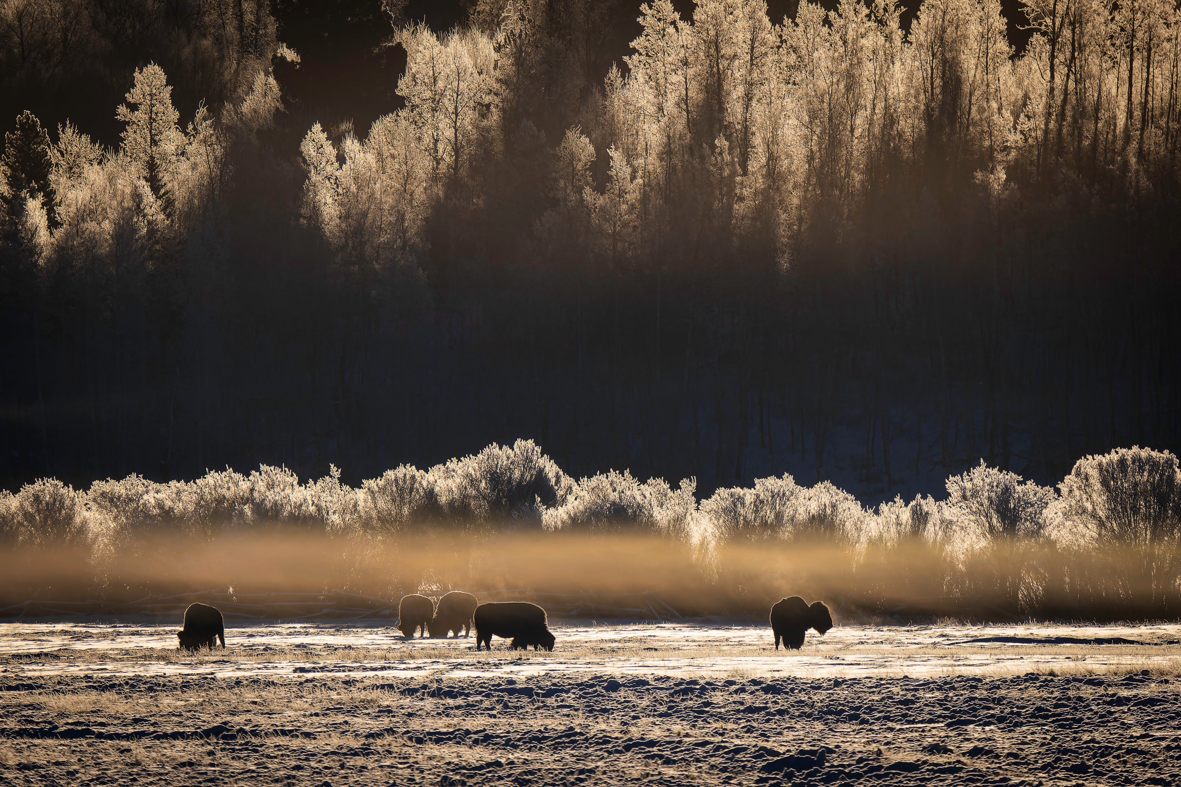 2027 Grand Teton in Winter: Mastering Winter Landscapes