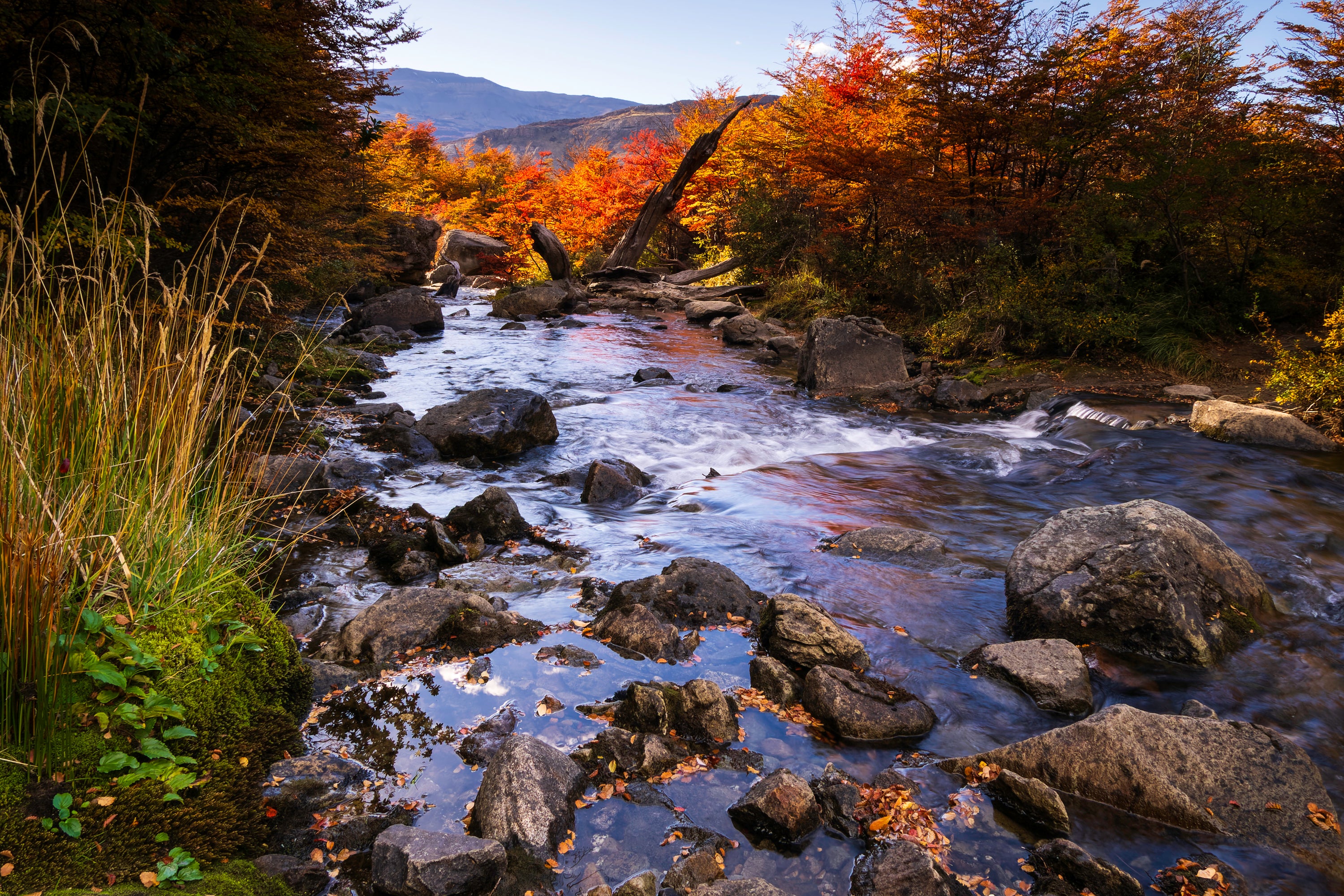 Patagonia-19.jpg