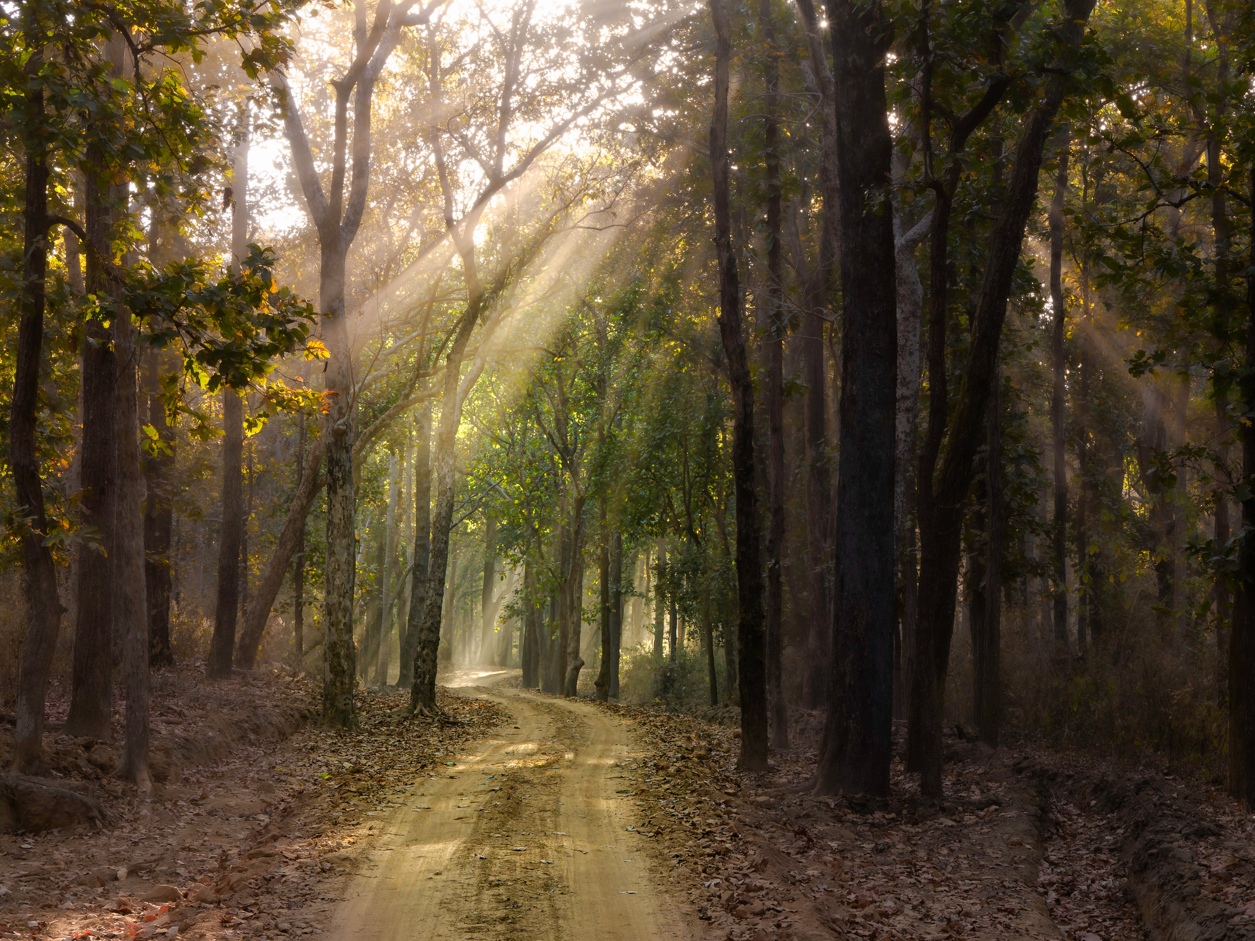 2027 Grand India Adventure - OM System Only: Master Fieldcraft Workshop