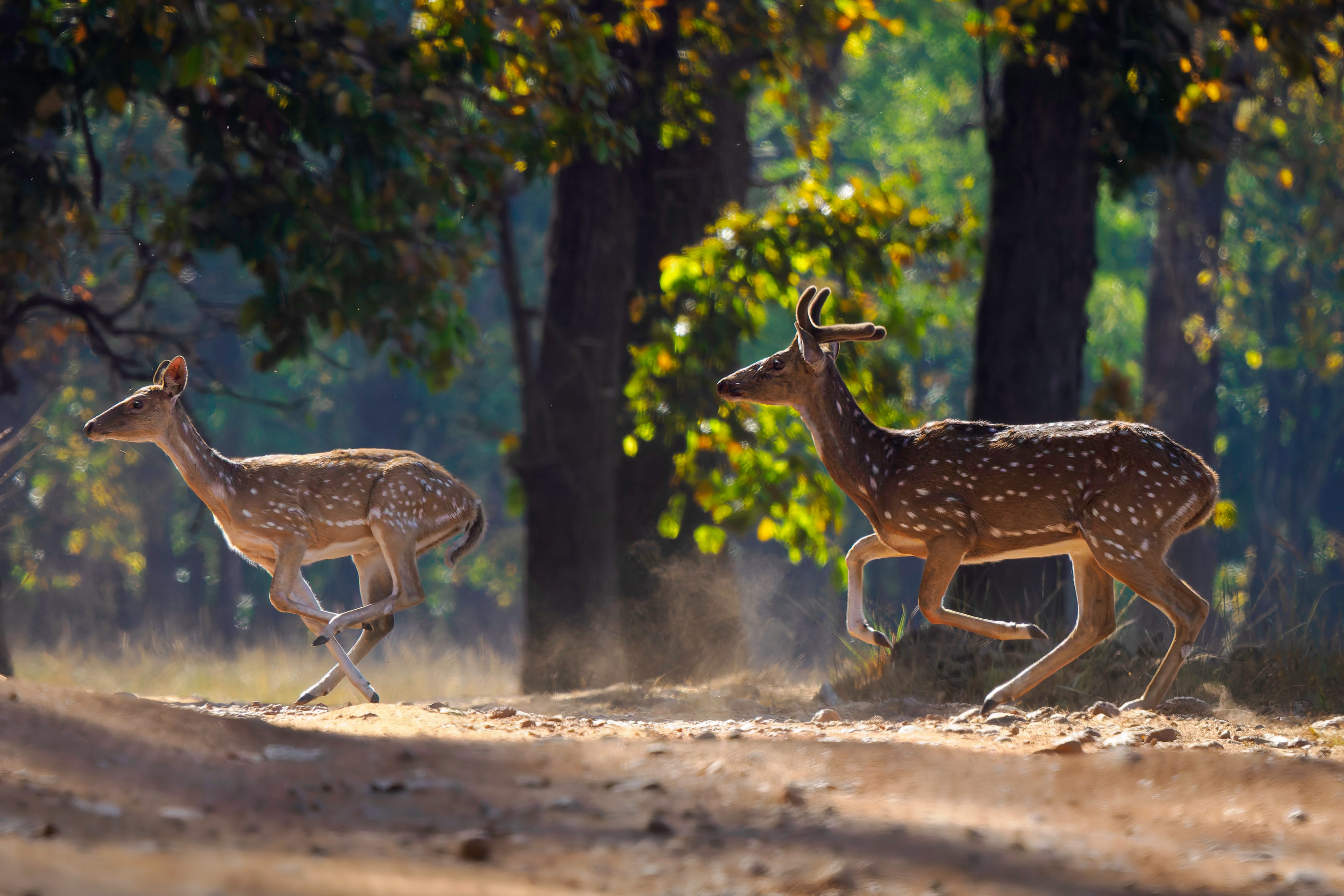 Private On-Site Classes - 10 Hours