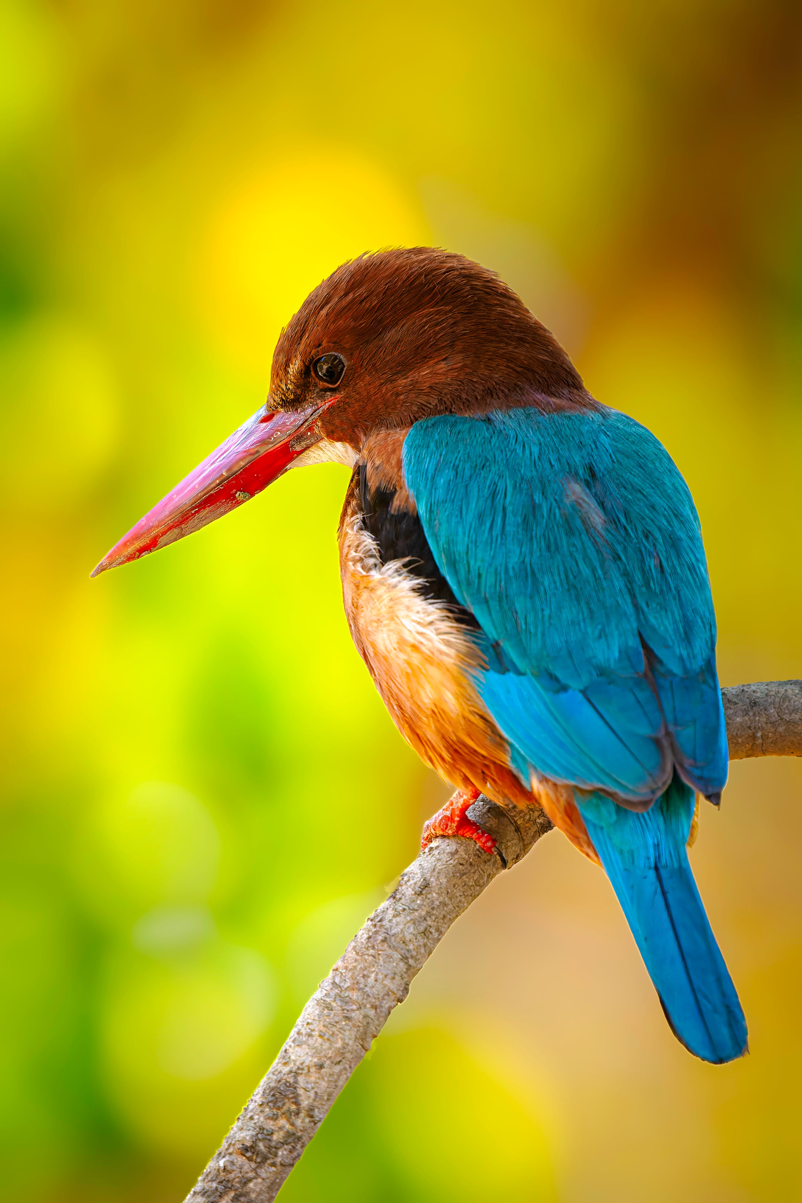 2027 Grand India Adventure - OM System Only: Master Fieldcraft Workshop